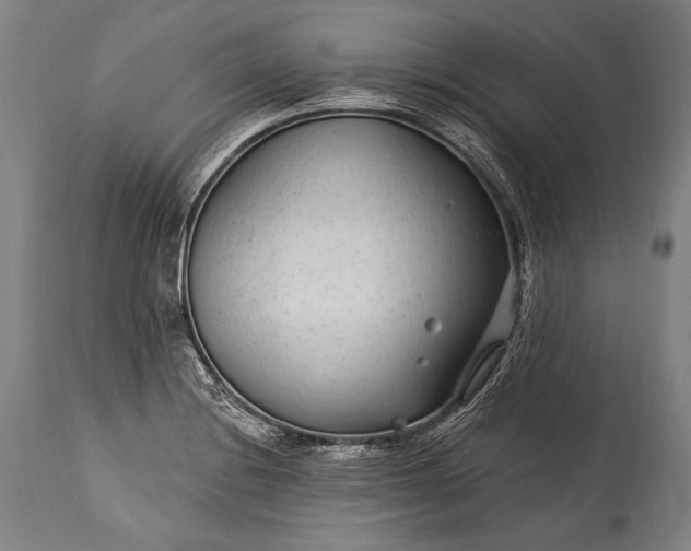 X0000115291228200911161626