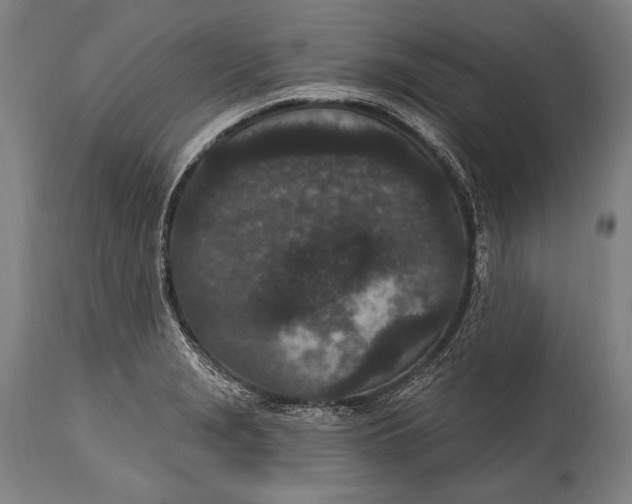 X0000115291229200911161626