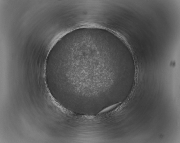 X0000115291231200911161626