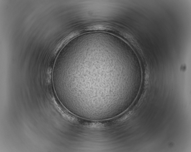 X0000115291233200911161626