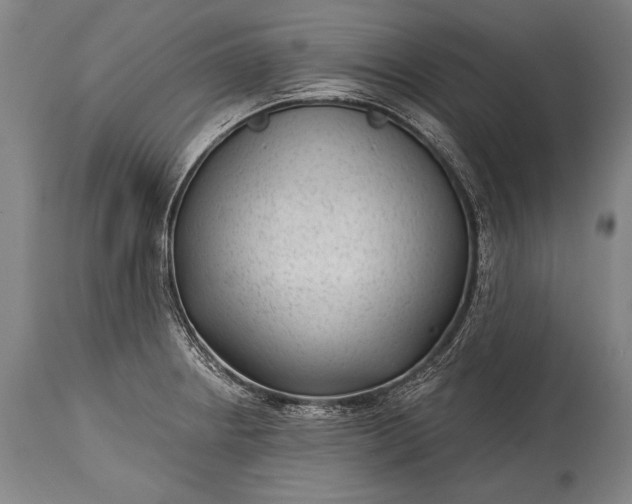 X0000115291234200911161626
