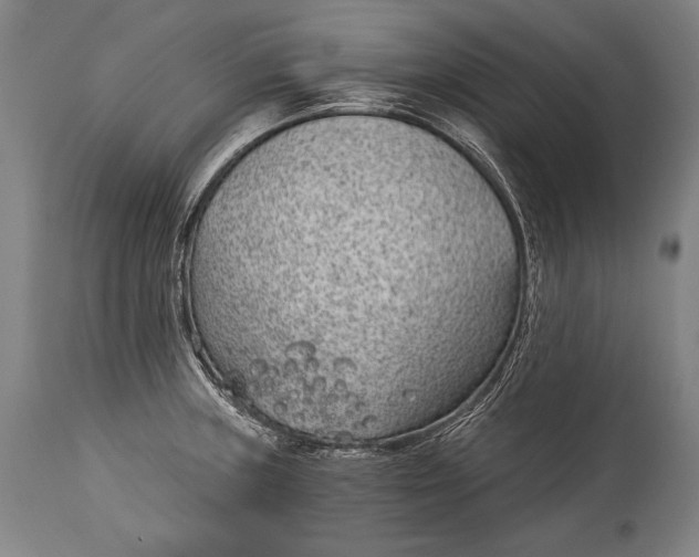 X0000115291235200911161626