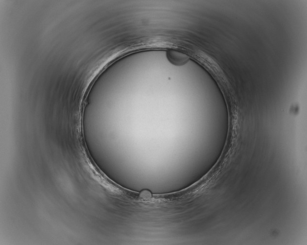 X0000115291236200911161626