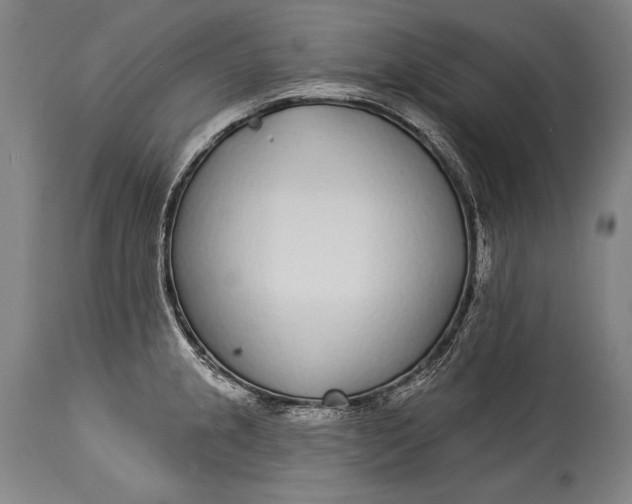 X0000115291237200911161626