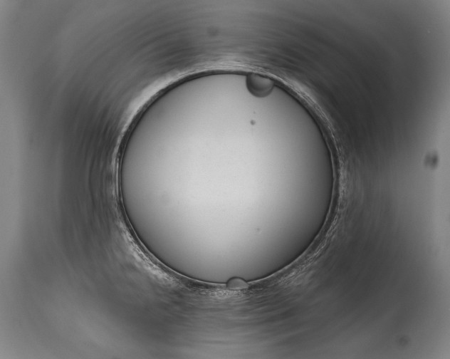 X0000115291238200911161626