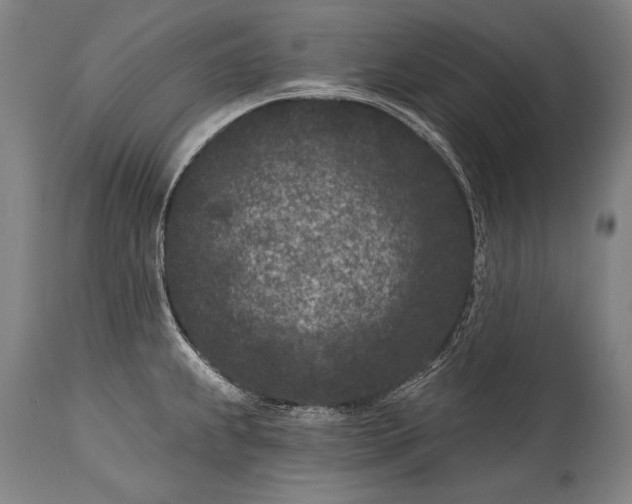 X0000115291239200911161626