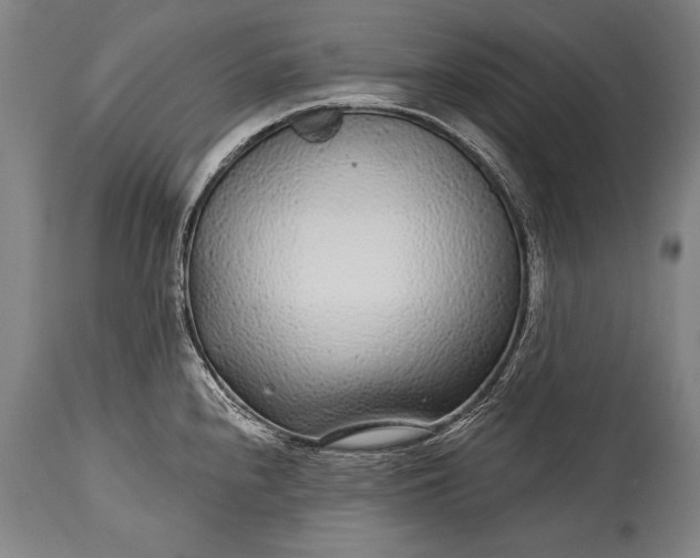 X0000115291240200911161626