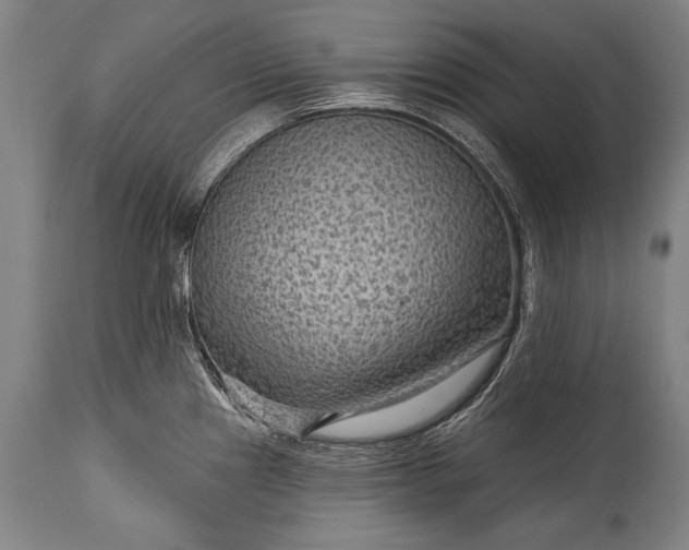 X0000115291241200911161626