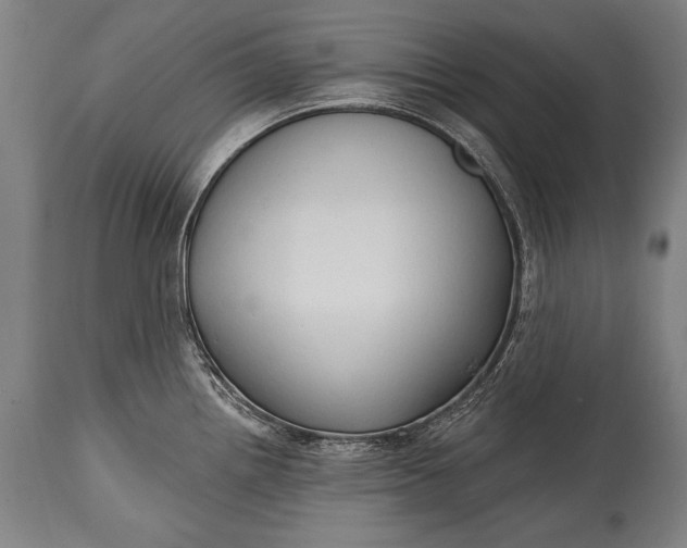 X0000115291242200911161627