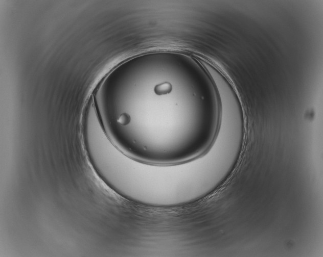 X0000115291243200911161627