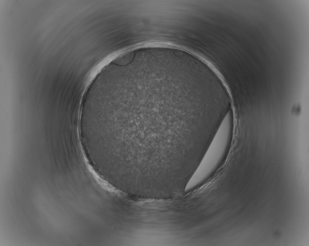 X0000115291245200911161627