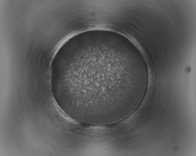 X0000115291246200911161627