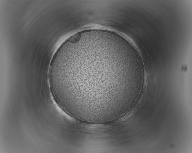 X0000115291247200911161627