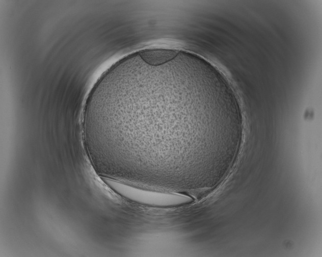 X0000115291248200911161627