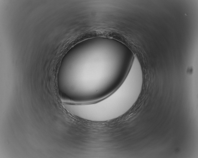 X0000115291249200911161626