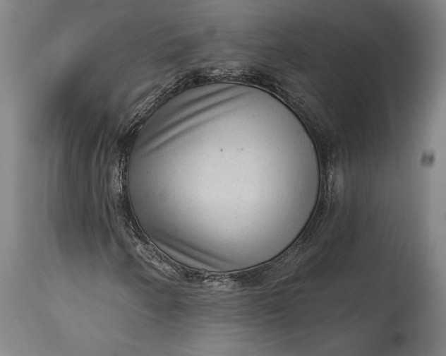 X0000115291250200911161626