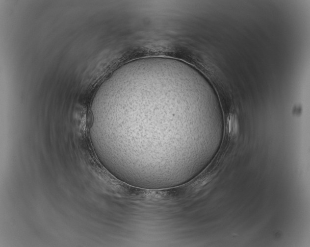 X0000115291251200911161626