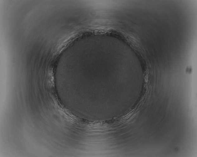 X0000115291252200911161626