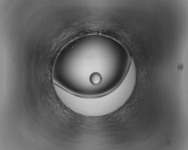 X0000115291253200911161626