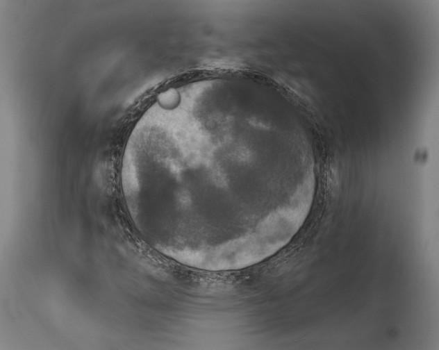 X0000115291254200911161626