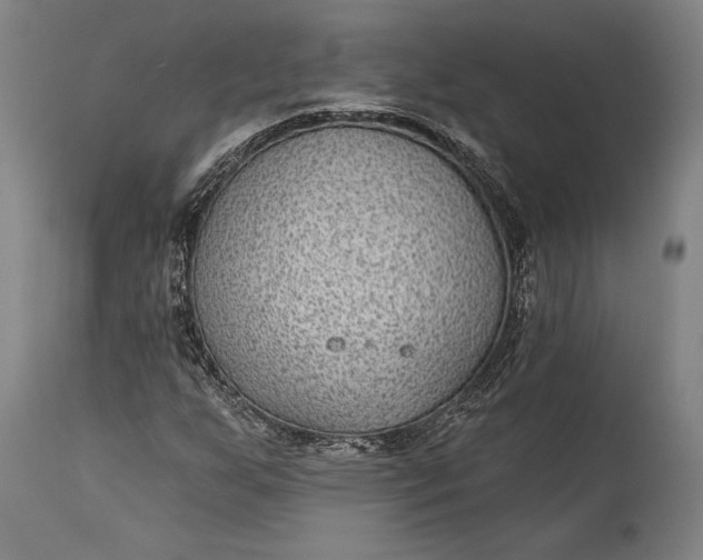 X0000115291255200911161626