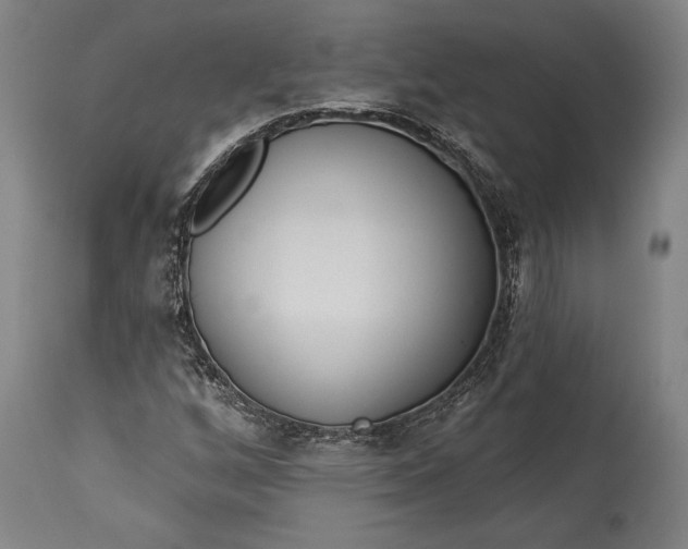 X0000115291256200911161626