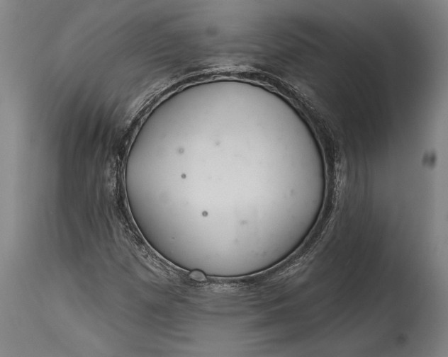 X0000115291257200911161626