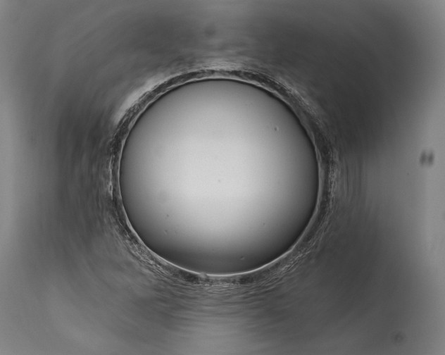 X0000115291262200911161626