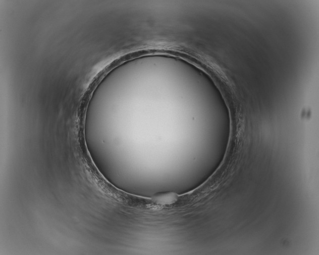 X0000115291264200911161626