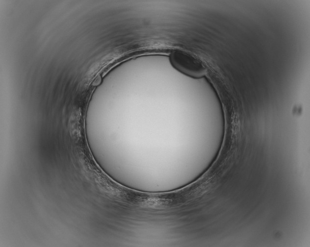 X0000115291265200911161626