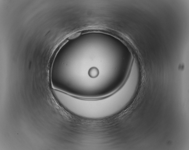 X0000115291268200911161626