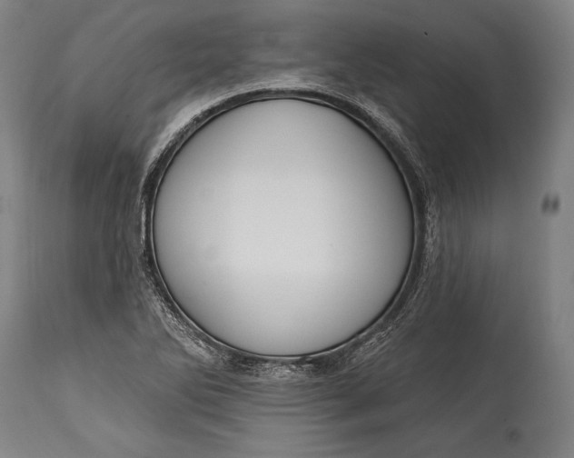 X0000115291270200911161626