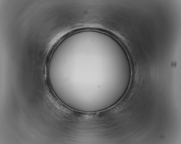 X0000115291271200911161626