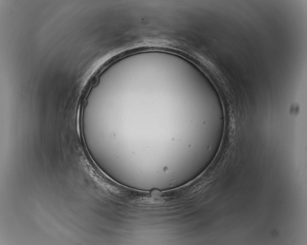 X0000115291272200911161626