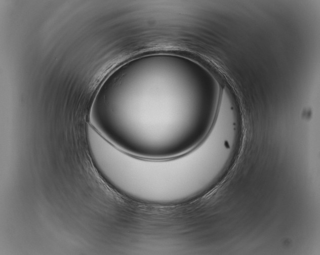 X0000115291273200911161626