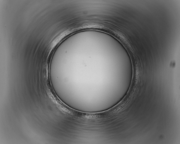 X0000115291274200911161626
