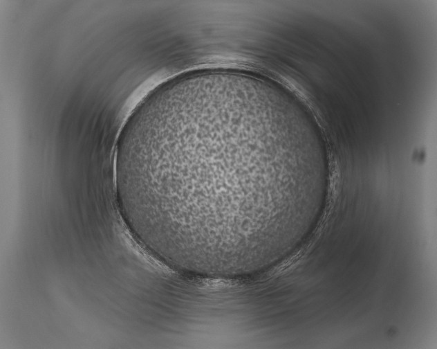 X0000115291275200911161626