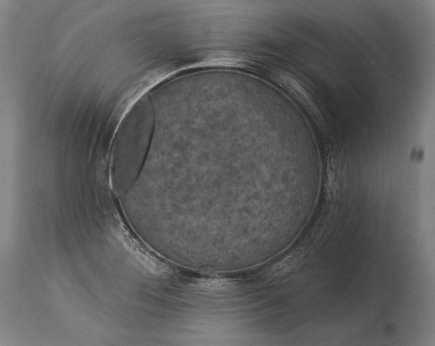 X0000115291276200911161626