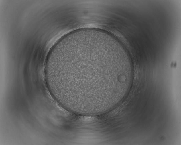 X0000115291278200911161626