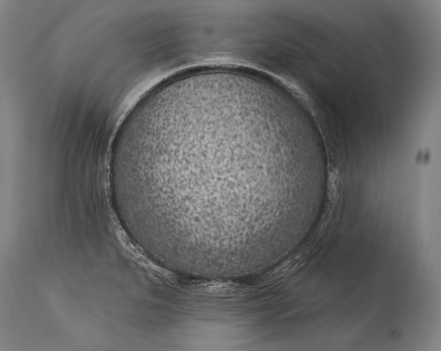 X0000115291279200911161626