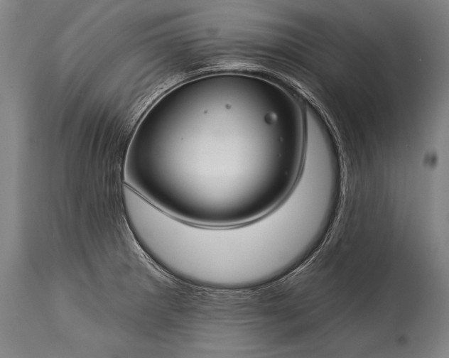 X0000115291281200911161625