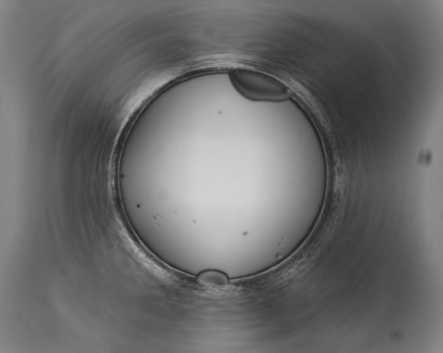 X0000115291285200911161625