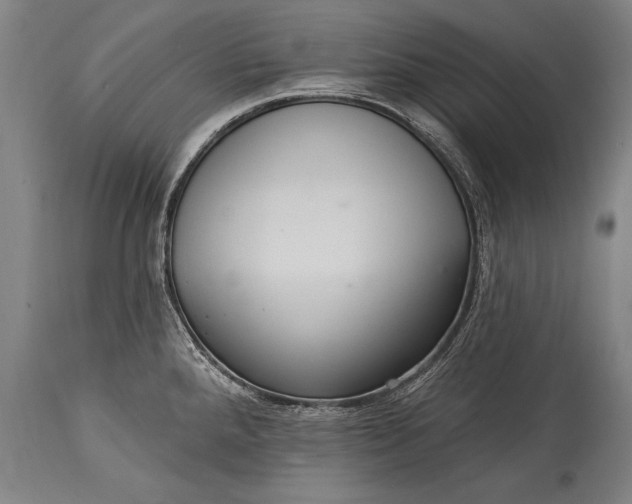 X0000115291288200911161625