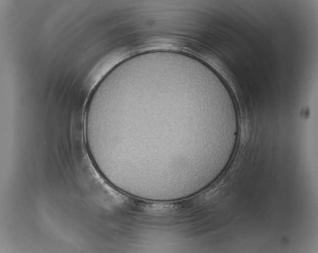 X0000115291290200911161625