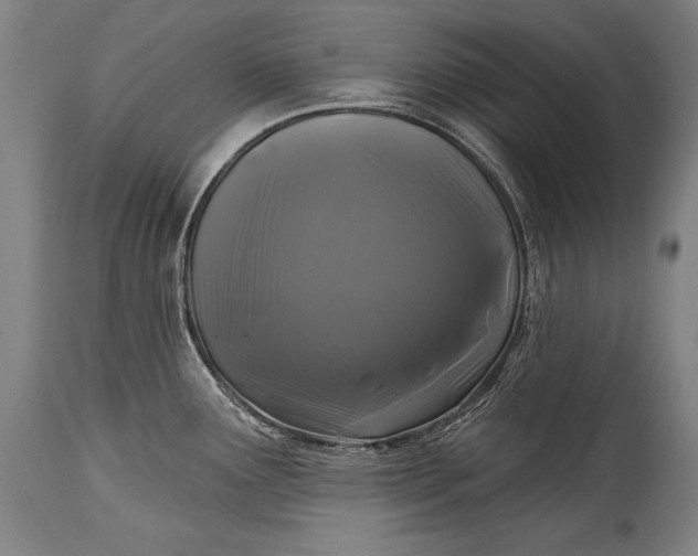 X0000115291291200911161625