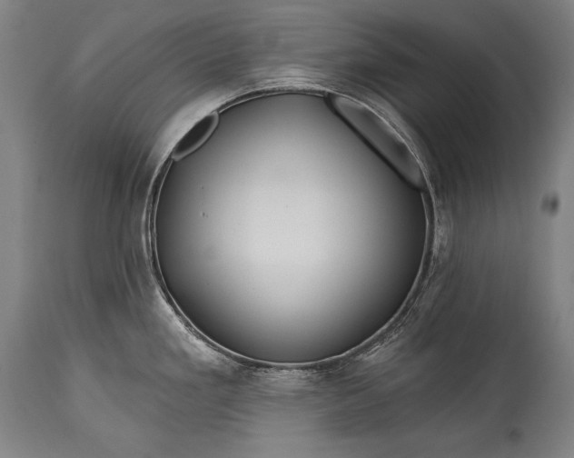 X0000115291293200911161625