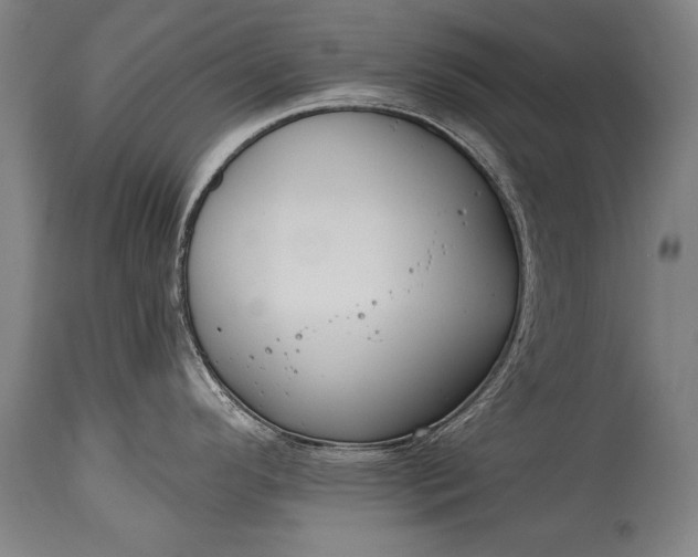 X0000115291296200911161625