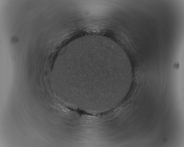 X0000115291297200911161625