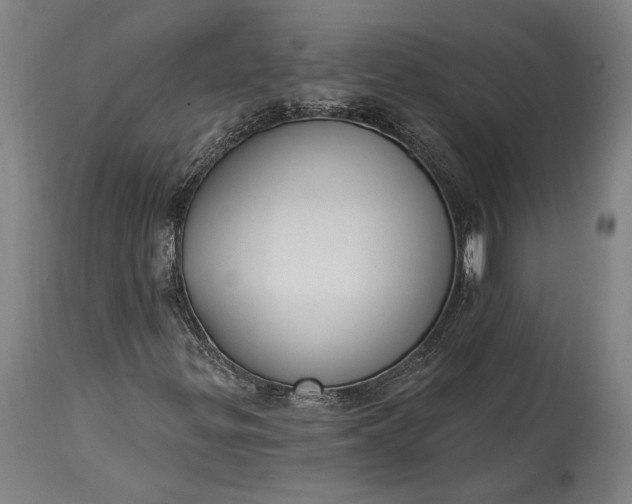 X0000115291299200911161625