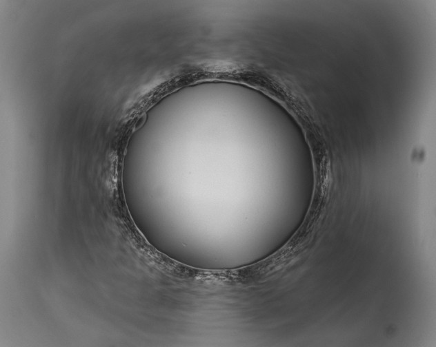 X0000115291301200911161625